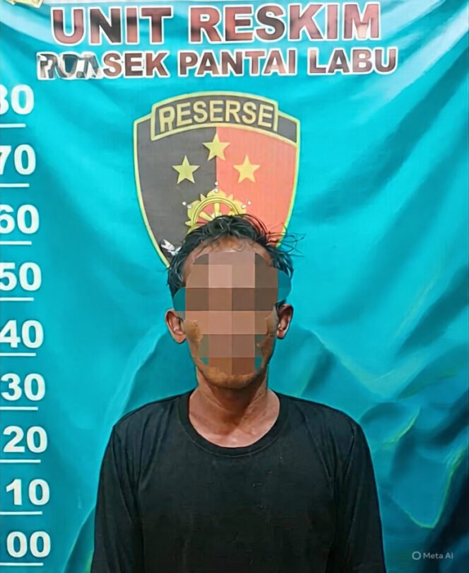 
					Pelaku Penganiayaan di Deli Serdang, Diringkus Polsek Pantai Labu