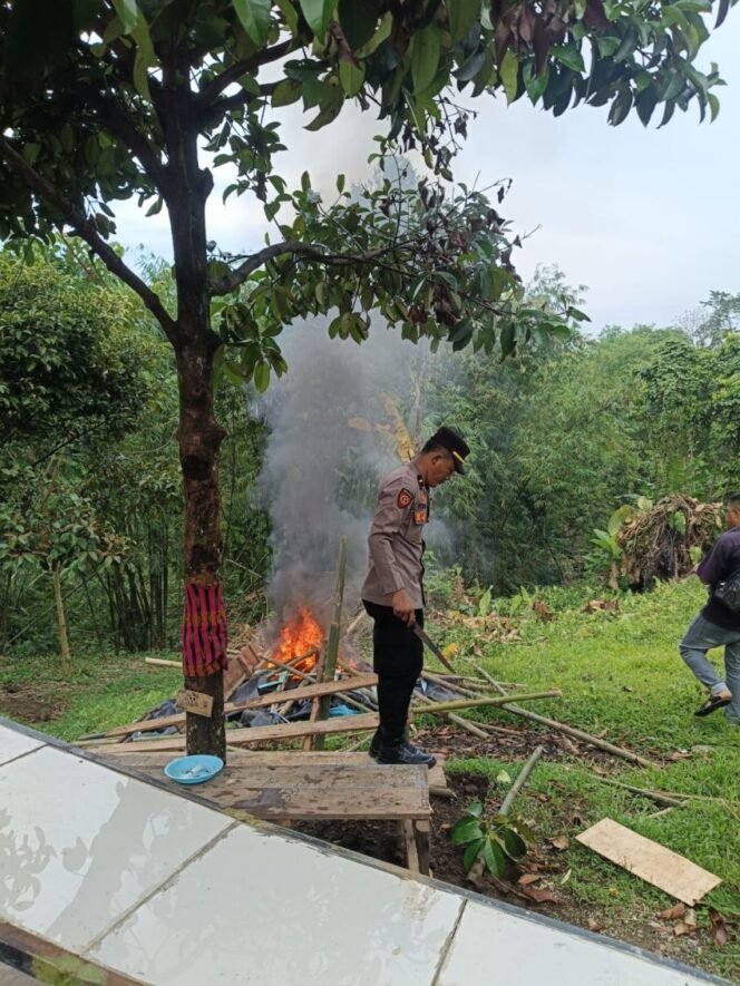 
					POLSEK PANCURBATU GEREBEK SARANG NARKOBA DI DUA LOKASI, BARANG BUKTI DAN BARAK PENYALAHGUNAAN DIAMANKAN