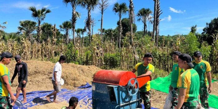 Satgas Pamtas Yonarhanud 2 Kostrad Bantu Panen Padi Warga Diperbatasan 1 FB IMG 1775102382686