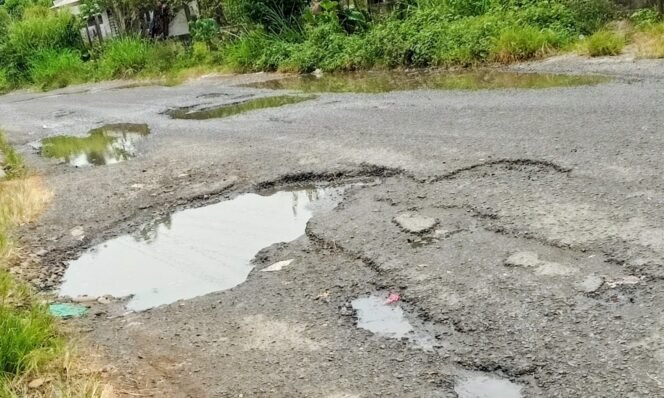 
					MOHON SEGERA DIPERBAIKI! Jalan Provinsi di STM Hilir Rusak Parah, Banyak Kecelakaan Terjadi