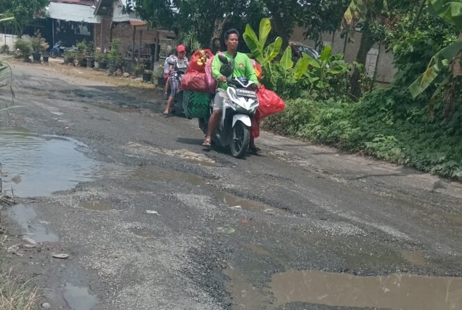 
					Jalan Talun Kenas-Sumbul Rusak Berlubang,Warga Mohon Perbaikan Segera