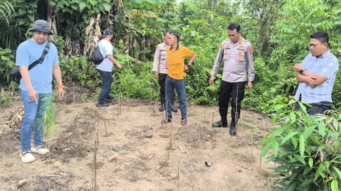 
					Satresnarkoba & Polsek Tanjung Morawa Temukan Lagi Ganja, Langsung Dimusnahkan