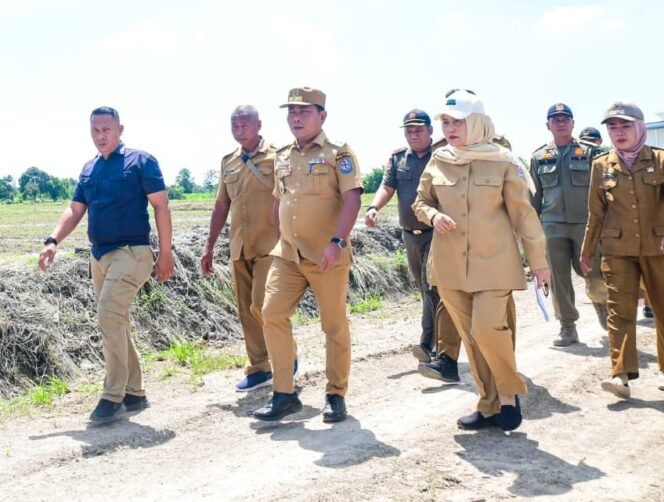 
					Wabup Deliserdang Tinjau Lahan Sport Center Sumut, Akan Dikelola Jadi Kawasan Pertanian Terpadu dan Agro Wisata