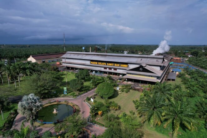 
					Melalui PalmCo, Holding Perkebunan Nusantara Perluas Akses Digital bagi Sekolah di Pelosok