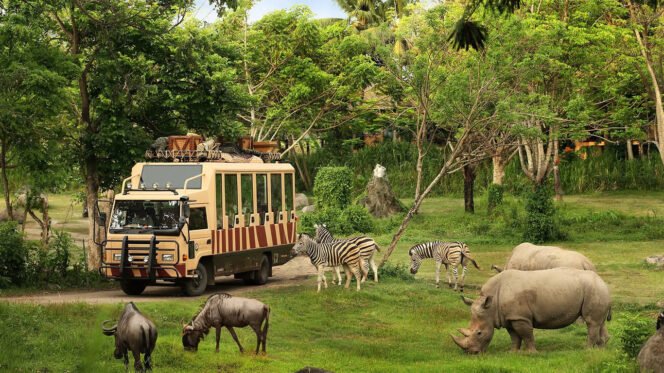 
					Taman Safari Indonesia Siap Dukung Transformasi Kebun Binatang Bandung sebagai Lembaga Konservasi Modern