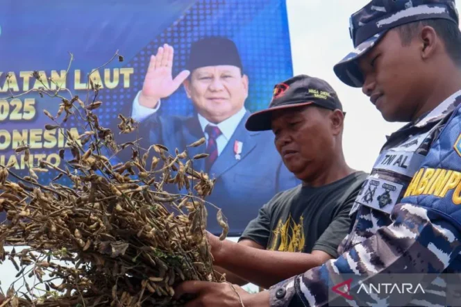 
					TNI AL Genjot Program Tanam Kedelai untuk Ketahanan Pangan