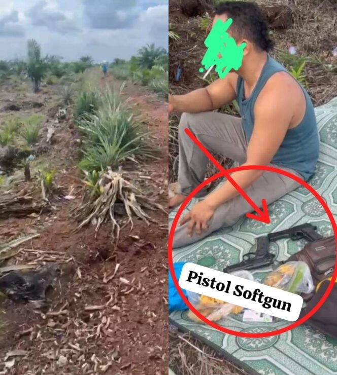 
					Sengketa Lahan Sawit Memanas di Bengkalis: Junaidah Mengaku Dirampas Haknya dan Diancam dengan Senjata