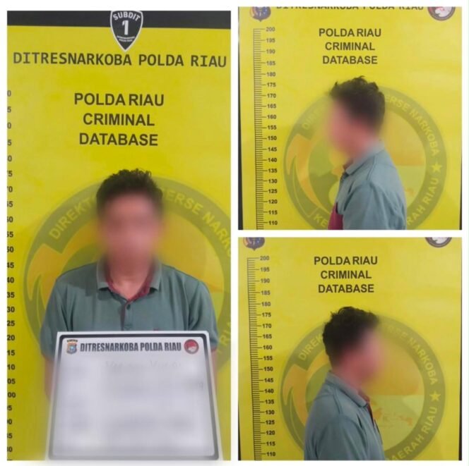 
					Gencar Brantas Narkoba, Gudang Narkoba Dibongkar Ditresnarkoba Polda Riau