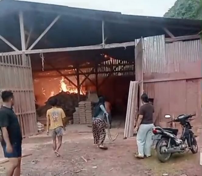 
					Gudang Kayu di Patumbak Ludes Terbakar, Kerugian Ratusan Juta