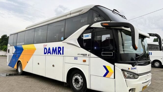 
					DAMRI Buka Kembali Rute Kalianda–Jakarta, Perkuat Konektivitas Lampung Selatan
