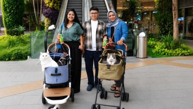 
					Main Bareng Anabul Di Grand Galaxy Park yang Cat Friendly