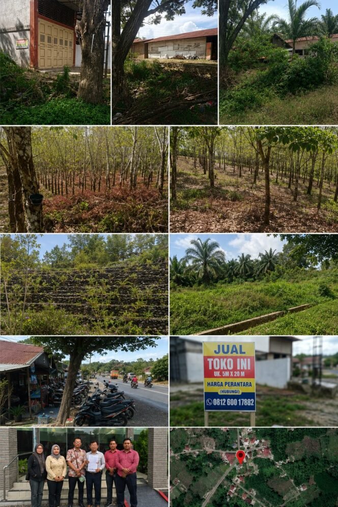 
					Diduga Kuasai Dan Serobot Lahan, Pasutri Dilaporkan Ke Poldasu