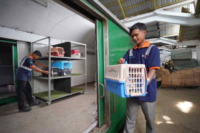 
					KAI Logistik Layani Lebih dari 138 Ribu Pengiriman Hewan Peliharaan, Tumbuh 19%
